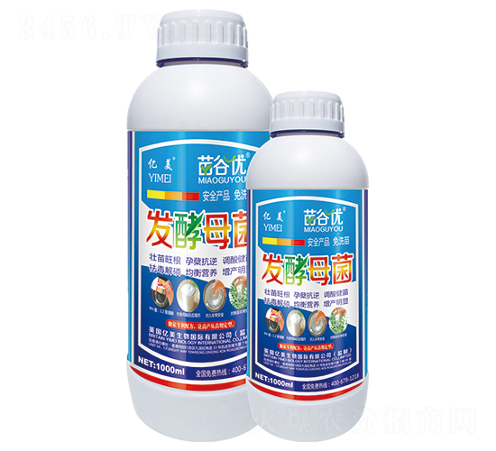 ��ȃ��l��ĸ��-�|������