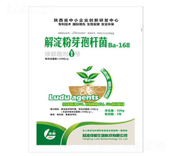 �G������1̖(h��o)-�G��