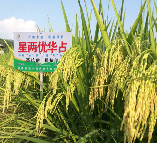 �ǃɃ��Aռ-ˮ���N��-Ԭ�Z