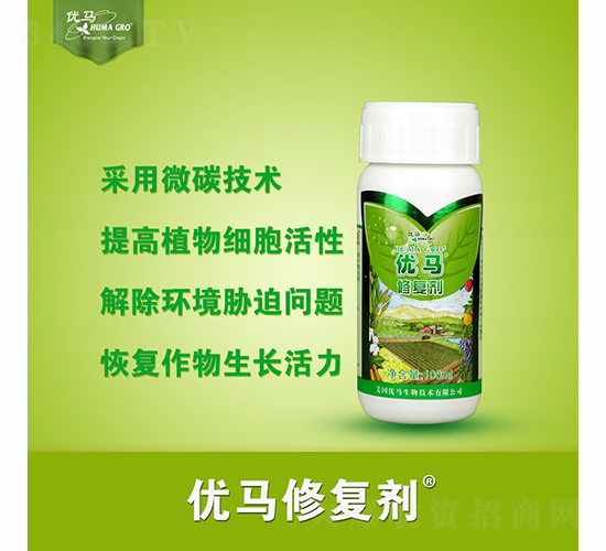 ���R�ޏ̈́�-���R����