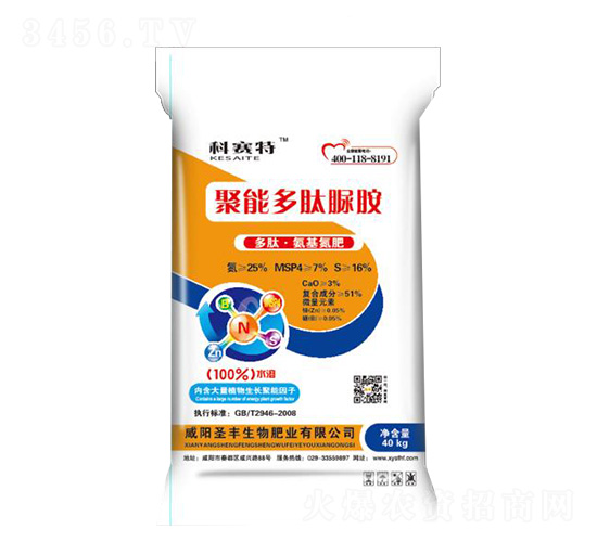 ���ܶ������@-��ِ��-ʥ�S