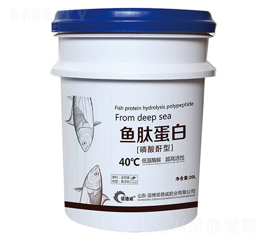 �~�ĵ���-�Z����