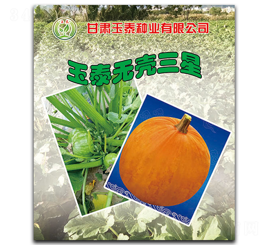 ��̩�o������-�o�����J�N��-��̩�N�I