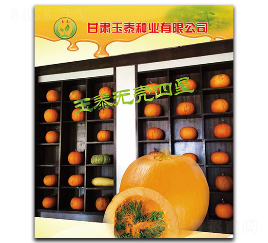 ��̩�o������-�o�����J�N��-��̩�N�I