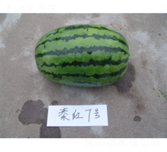 �ؼt7̖-���ϷN��-�ؼt�N�I