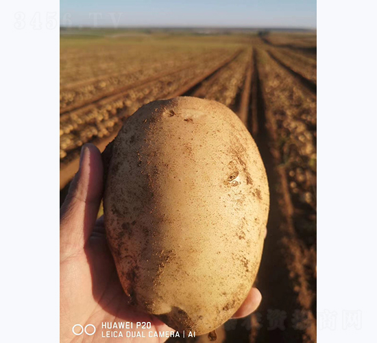 ����һ̖-�R����N��-����N�I