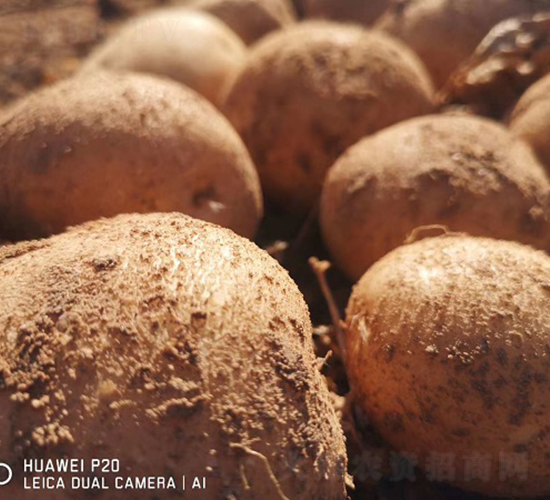 ������-�R����N��-����N�I