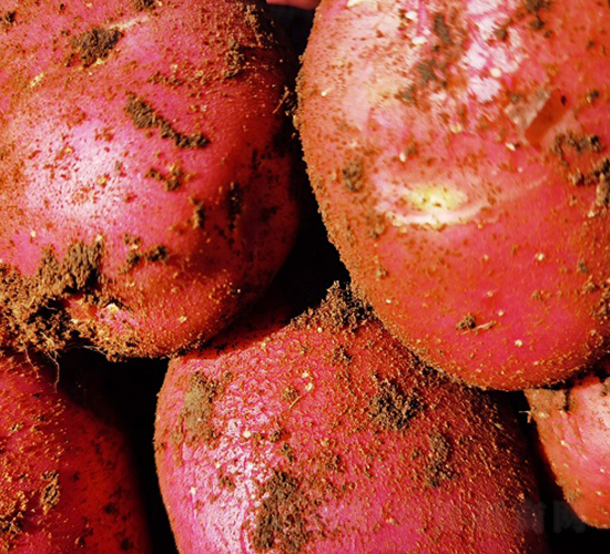 �t�-�R����N��-����N�I