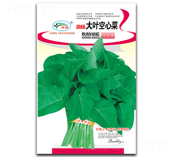 ���~���Ĳ�-���Ĳ˷N��-���P�N�I