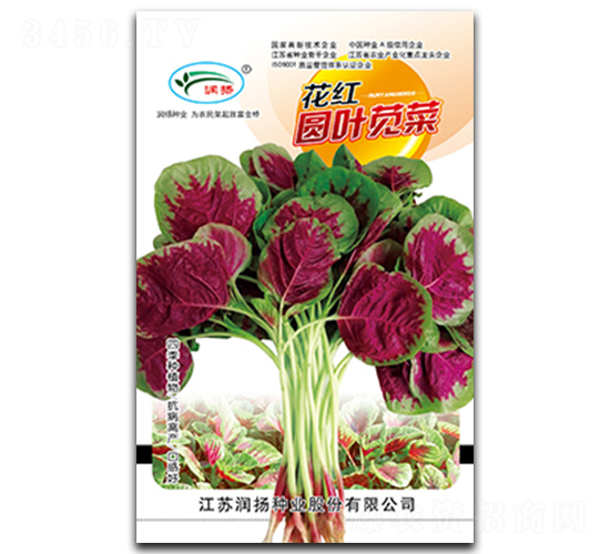 花紅圓葉莧菜-莧菜種子-潤揚種業