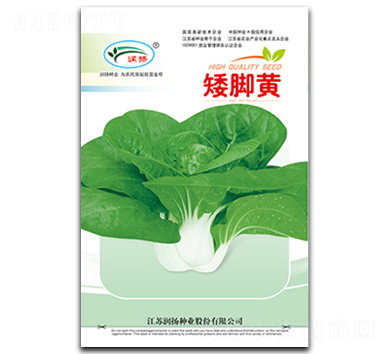 ���_�S-��˷N��-���P�N�I