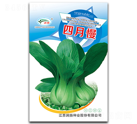 ������-��˷N��-���P�N�I