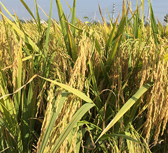 �΃Ƀ�(y��u)212-ˮ���N��-���P(y��ng)�N�I(y��)