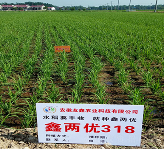 �΃Ƀ�318-ˮ���N��-���P�N�I