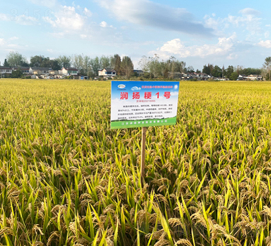 ��(r��n)�P(y��ng)��1̖(h��o)-ˮ���N��-��(r��n)�P(y��ng)�N�I(y��)