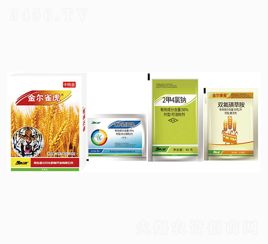 С�����݄�-��ȸ��-���r��