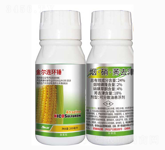 24%����ݬȥ��-���B�h�N-���r��