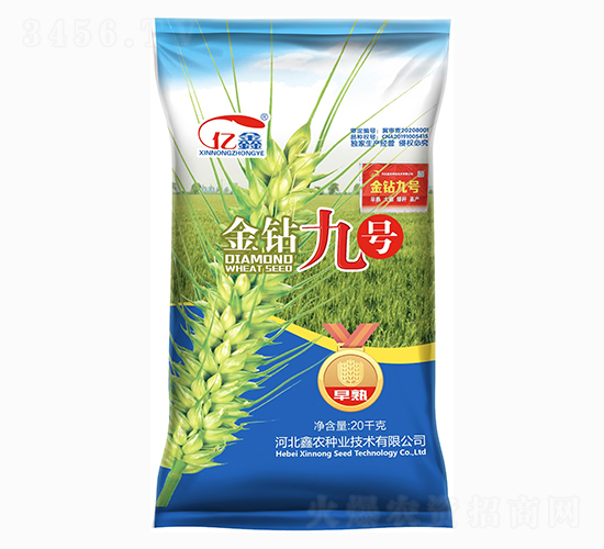 金鉆九號（小麥種子）-鑫農種業