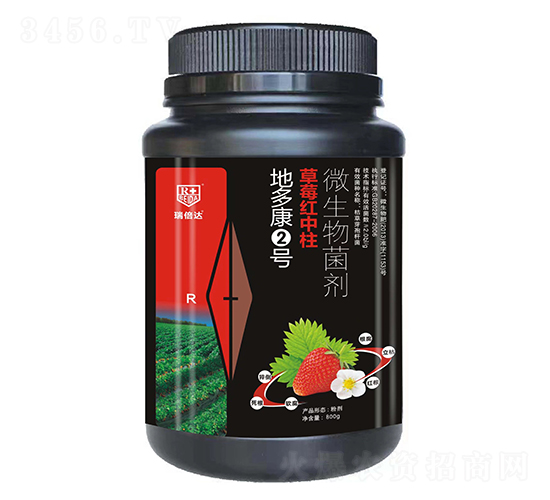 草莓紅中柱專用微生物菌劑-地多康2號-瑞倍達(dá)
