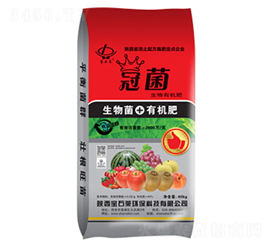 �ھ������ЙC��-��ʯ�R