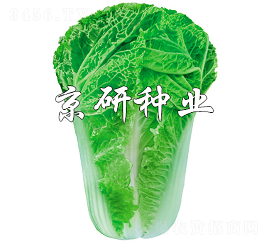 ����15-11-�ײ˷N��-���зN�I