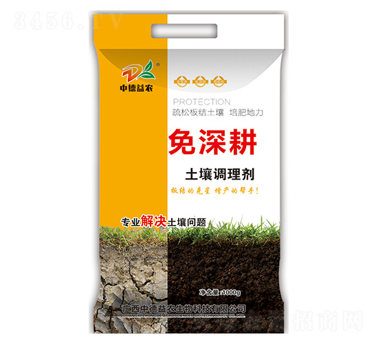 �����{�턩-�����-�е����r