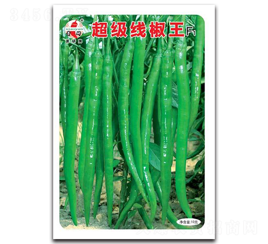 ����������F1-�����N��-ʒ�зN�I