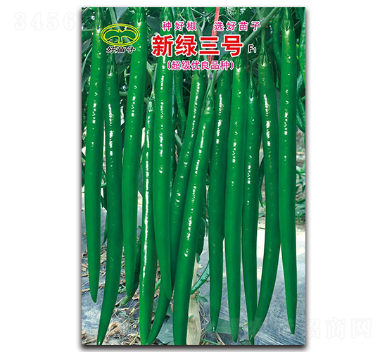 �¾G��̖(h��o)F1-�����N��-ʒ�зN�I(y��)