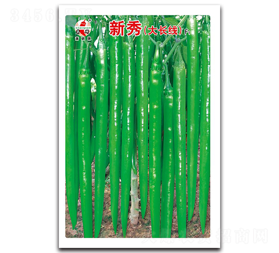 ����F1-�����N��-ʒ�зN�I