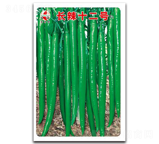 長辣十二號-線椒種子-蕭研種業(yè)
