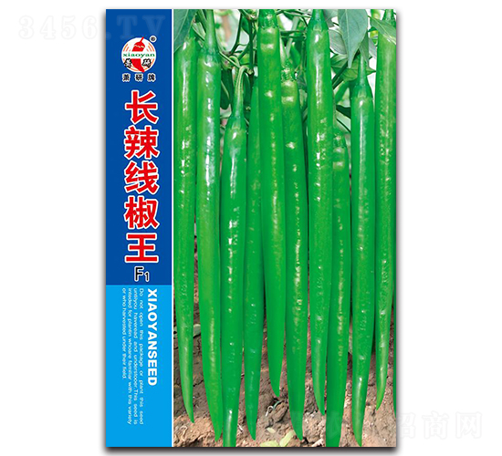 �L��������-�����N��-ʒ�зN�I