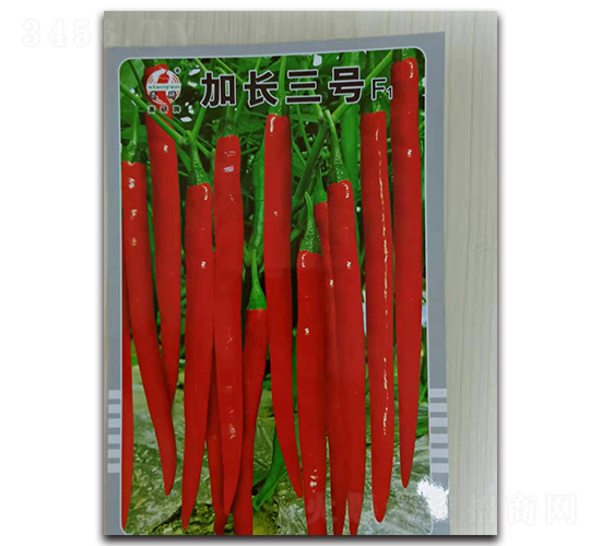 ���L��̖-�����N��-ʒ�зN�I