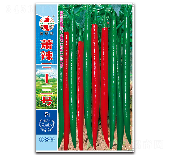 ʒ����ʮ��̖-�����N��-ʒ�зN�I