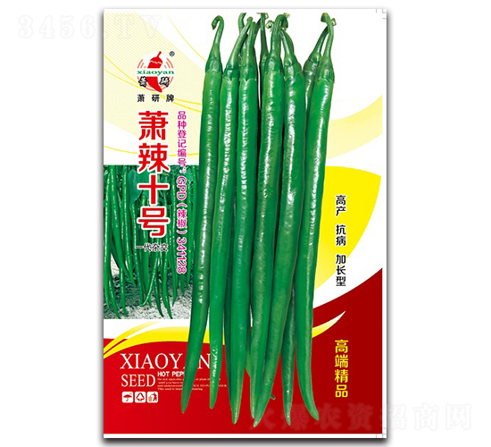 ʒ��ʮ̖-�����N��-ʒ�зN�I