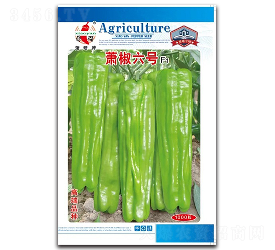 ʒ����̖(h��o)-�ݽ��N��-ʒ�зN�I(y��)