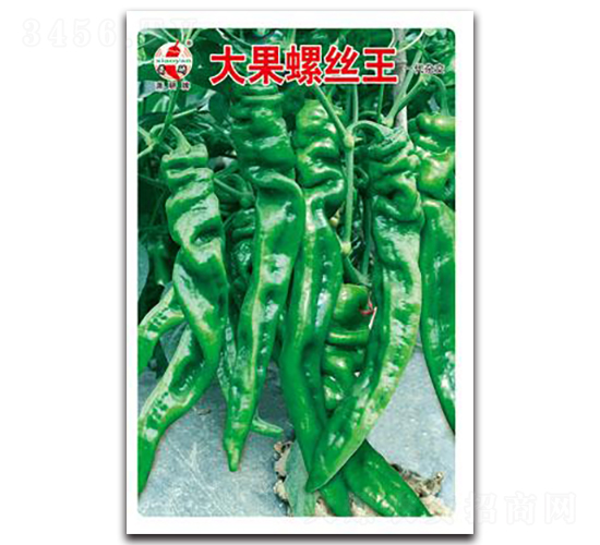 ����ݽz��-�ݽz���N��-ʒ�зN�I