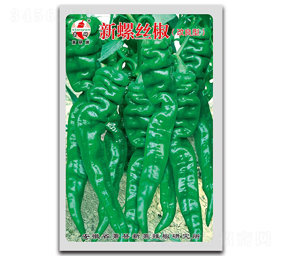 ���ݽz��-�ݽz���N��-ʒ�зN�I