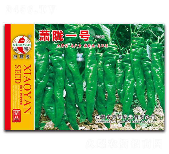 ʒ�]һ̖-�ݽz���N��-ʒ�зN�I