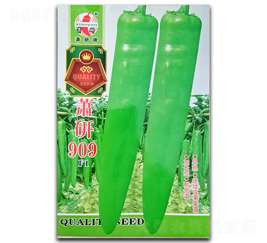 ʒ��909-�����N��-ʒ�зN�I