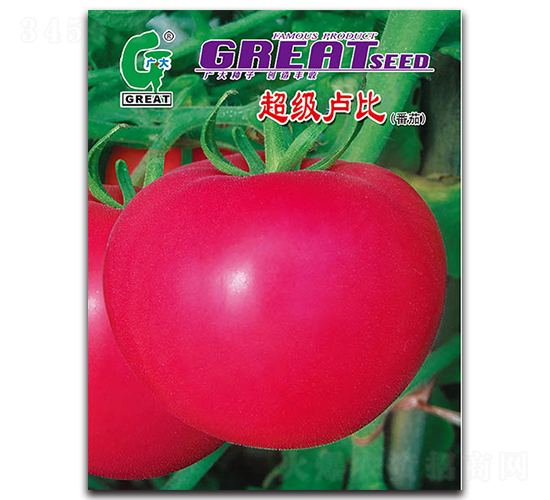 �����R��-���ѷN��-�V��