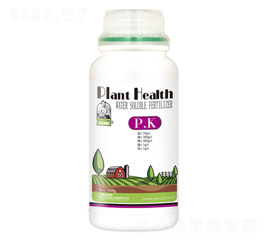 ˮ���Է���-P.K-ʥ��ʘI