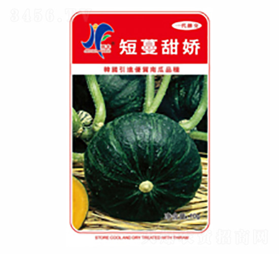 ��������-�x�S-��ʢ�S