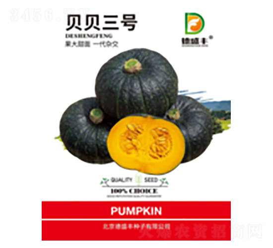 ؐؐ��̖-��ʢ�S