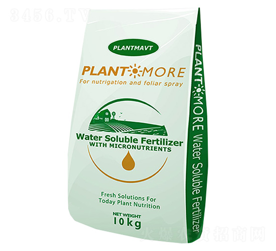 ���|����-��������