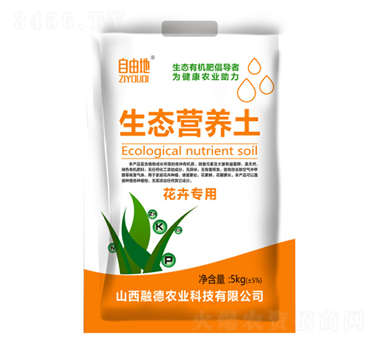 ���܌������B�I�B��-���ɵ�-�ڵ��r�I