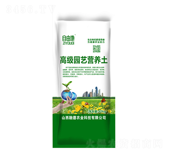 �߼��@ˇ�I�B��-���ɵ�-�ڵ��r�I