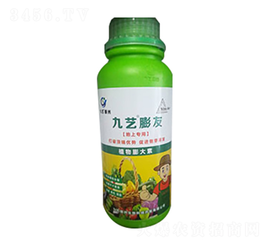 ��ˇ����-��ˇ�G��