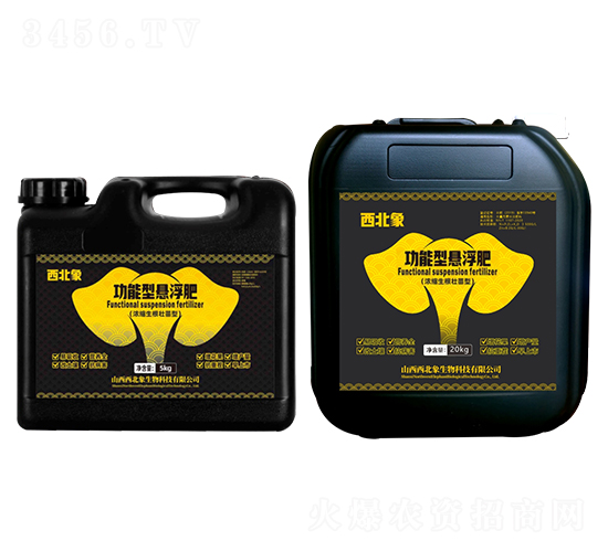 ���������͑Ҹ���-������