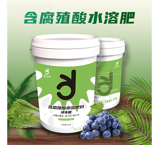 ����ֲ��ˮ�ܷ���-ֲ�ȴ�