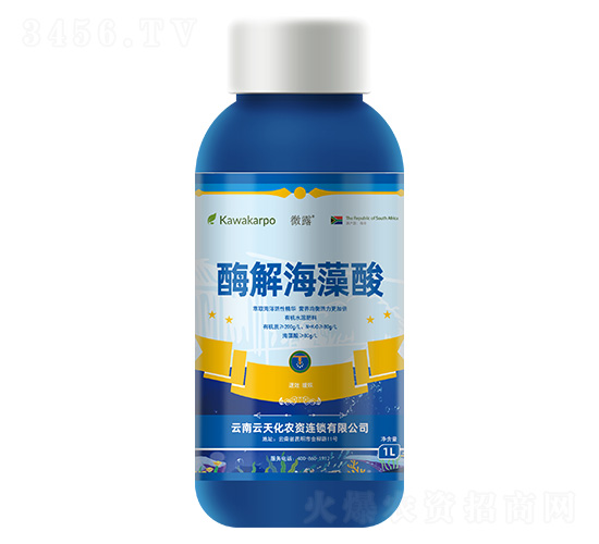 ƿ�b΢¶-ø�⺣����-���컯�r�Y